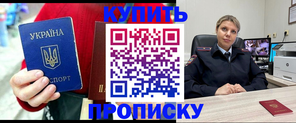 временная регистрация адрес в Мончегорске