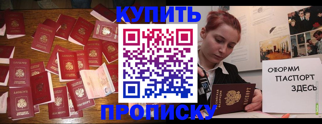 временная регистрация поиск в Мончегорске